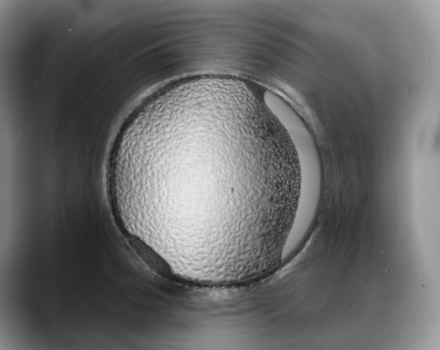 X0000088021188200706081435