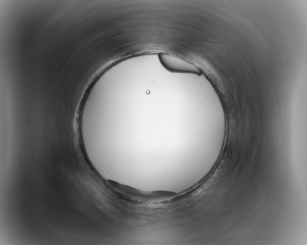 X0000088021190200706081435