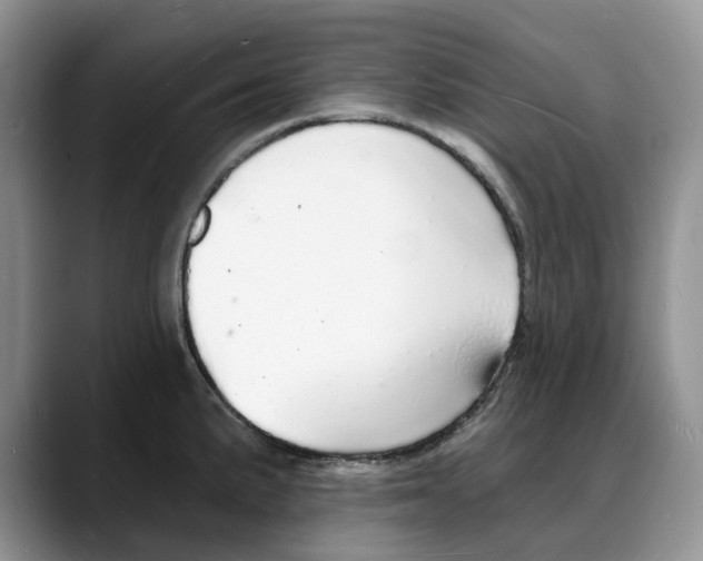 X0000088021191200706081435