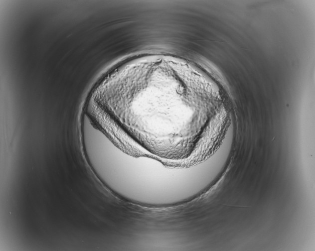 X0000088021192200706081435