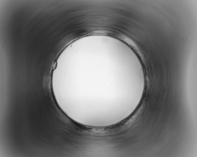 X0000088021194200706081435