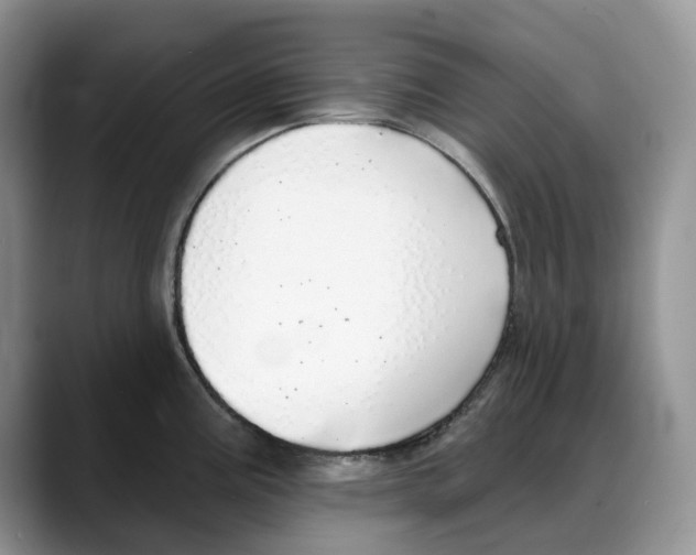 X0000088021195200706081435