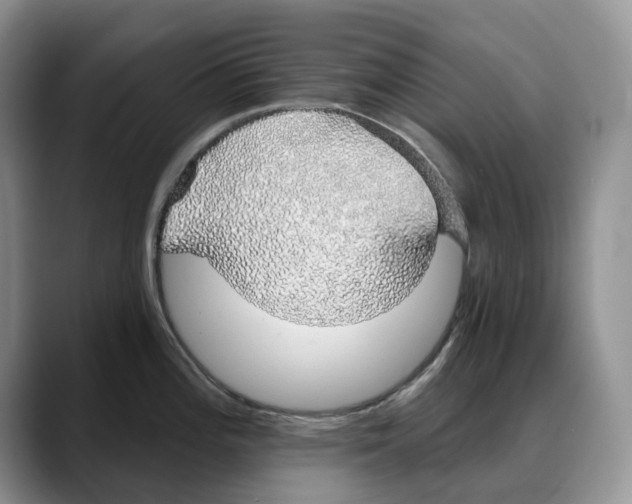 X0000088021196200706081435