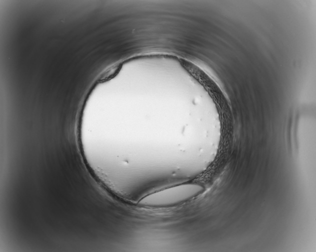 X0000088021197200706081435