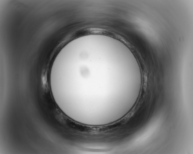 X0000088021198200706081435