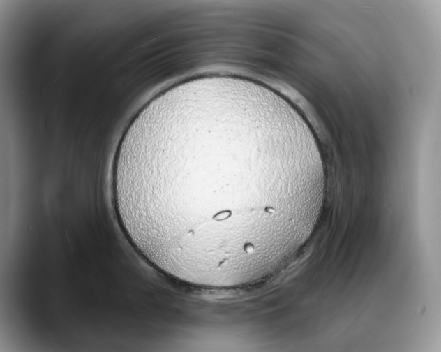 X0000088021199200706081435