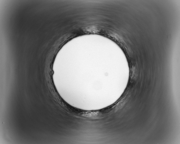 X0000088021201200706081434