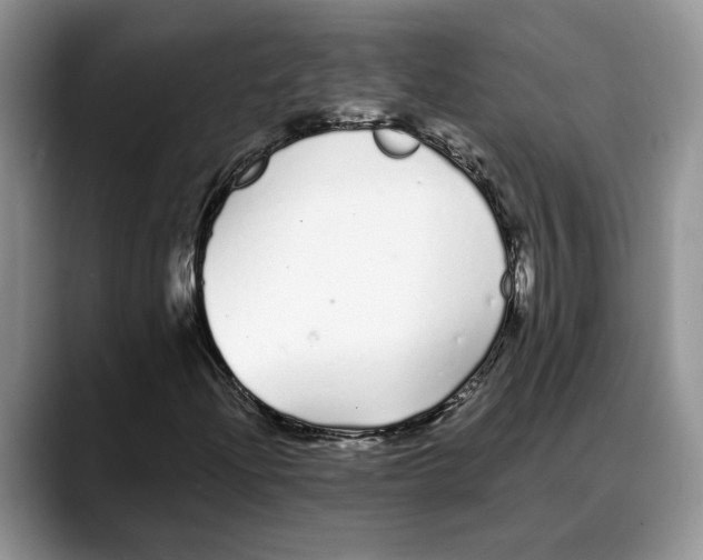 X0000088021204200706081434