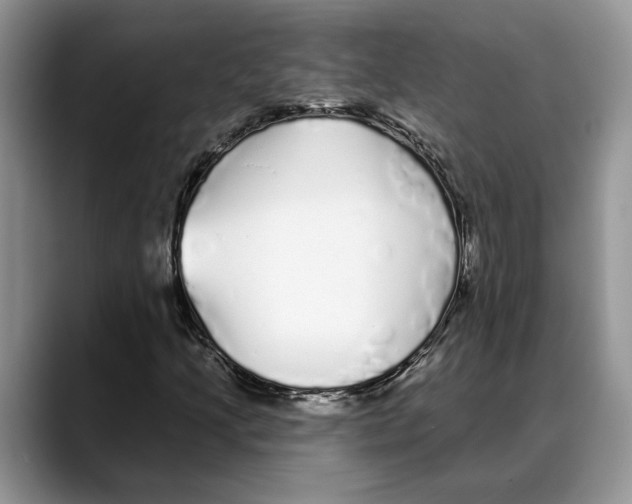 X0000088021205200706081434