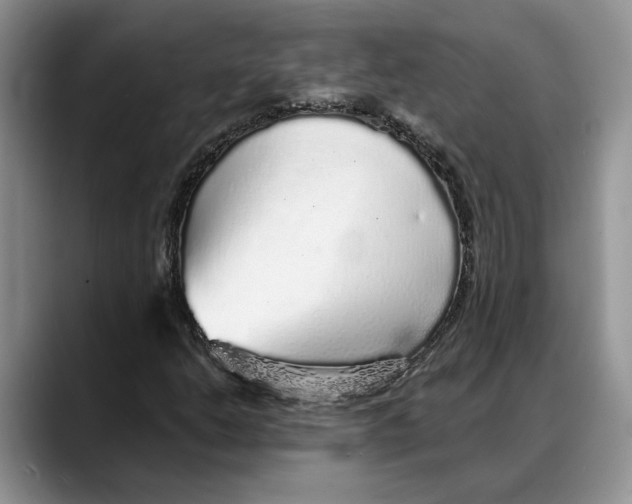 X0000088021206200706081434