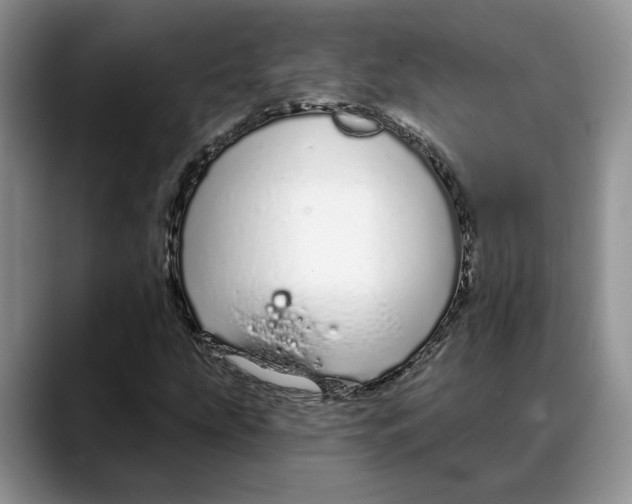 X0000088021207200706081434