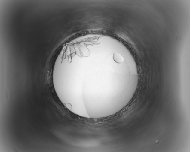 X0000088021208200706081434