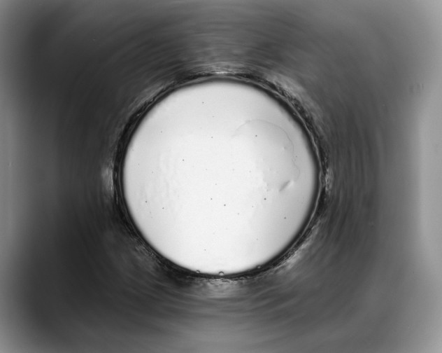 X0000088021209200706081434