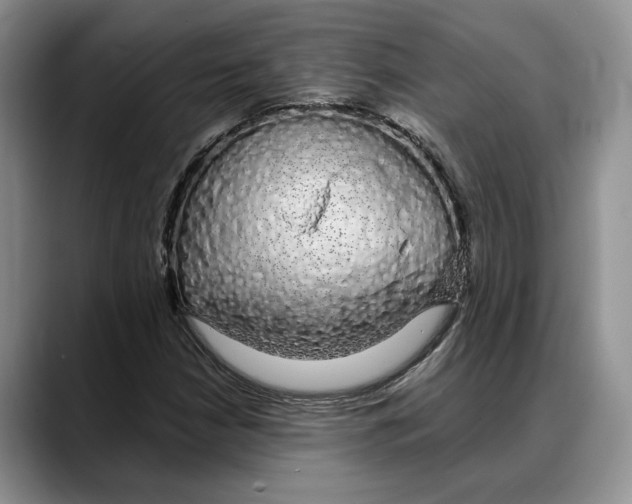 X0000088021210200706081434