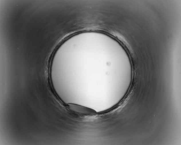 X0000088021212200706081434