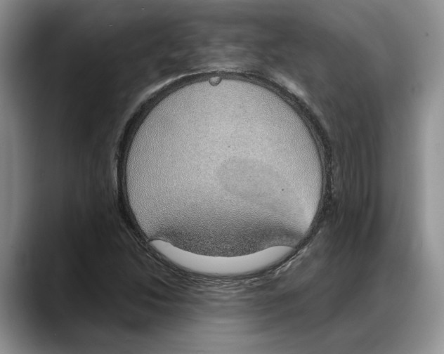 X0000088021214200706081434