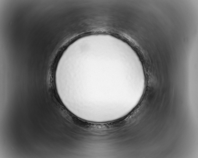 X0000088021215200706081434