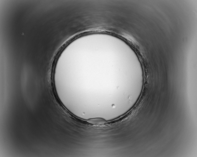 X0000088021216200706081434