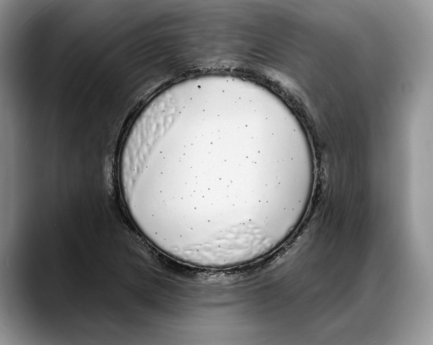 X0000088021217200706081434