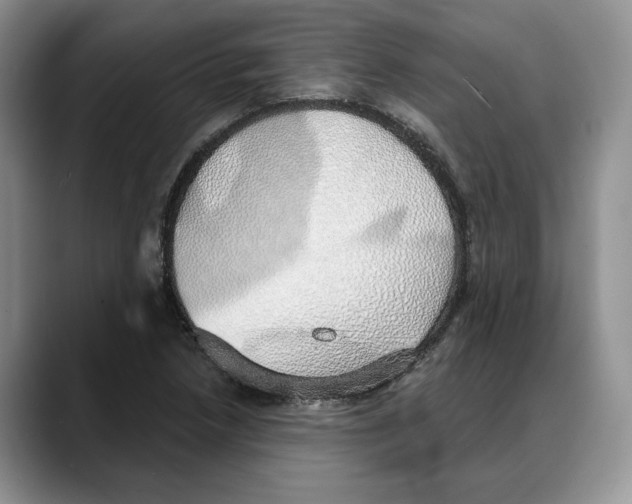 X0000088021218200706081434