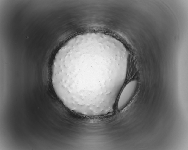 X0000088021219200706081434