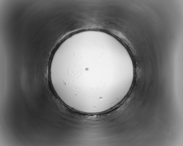 X0000088021220200706081434