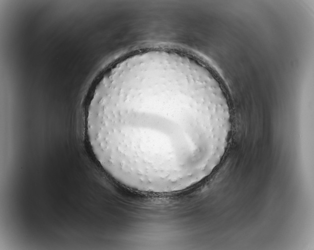 X0000088021223200706081434