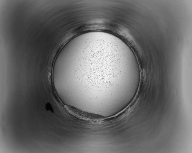 X0000088021225200706081435