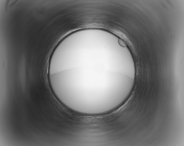 X0000088021228200706081435