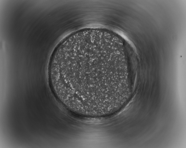 X0000088021229200706081435