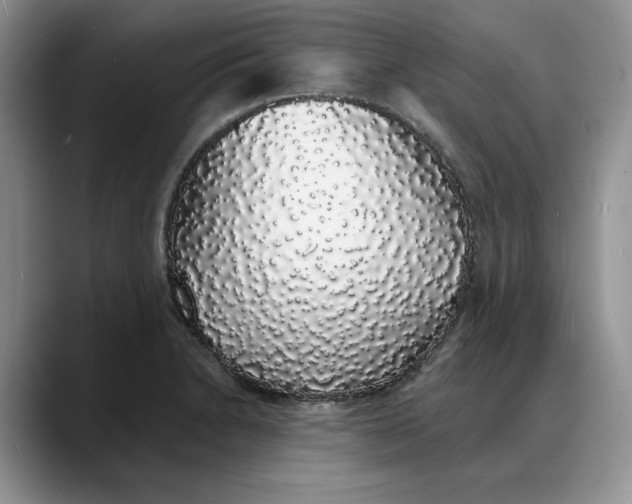 X0000088021230200706081435