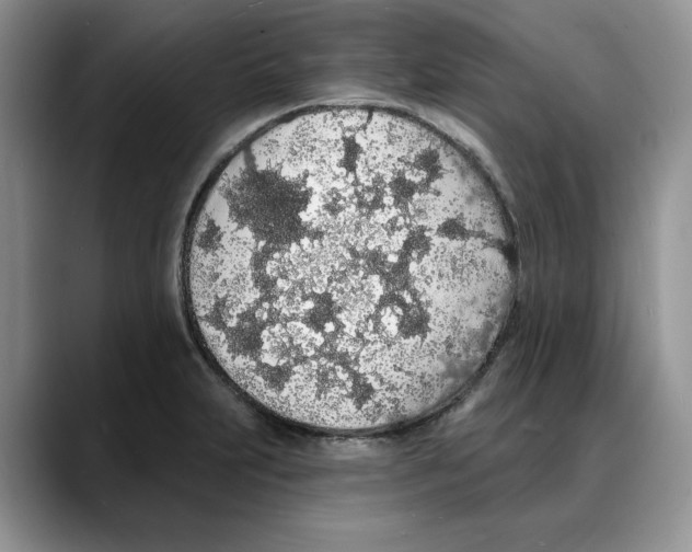 X0000088021231200706081435