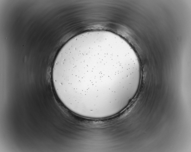 X0000088021233200706081435