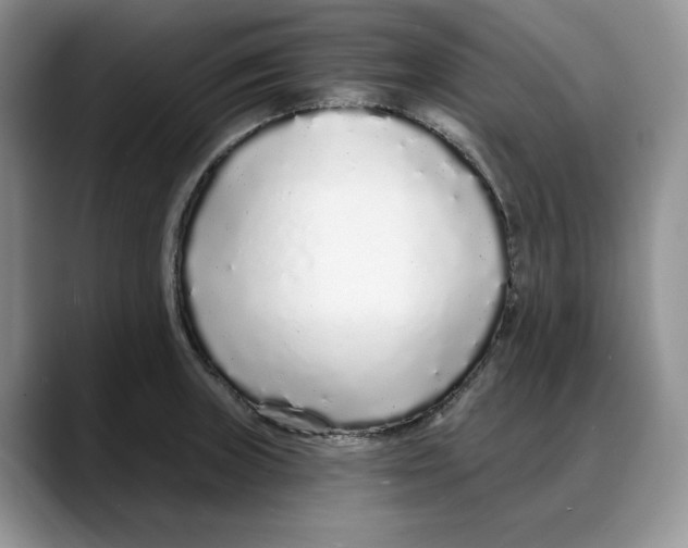 X0000088021235200706081435