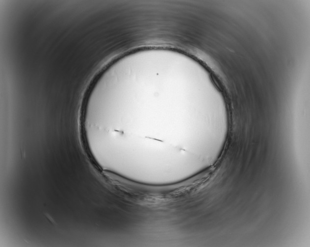 X0000088021237200706081435