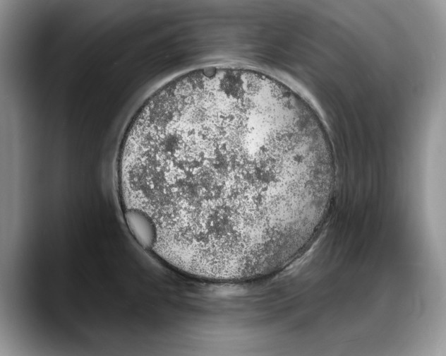 X0000088021239200706081435