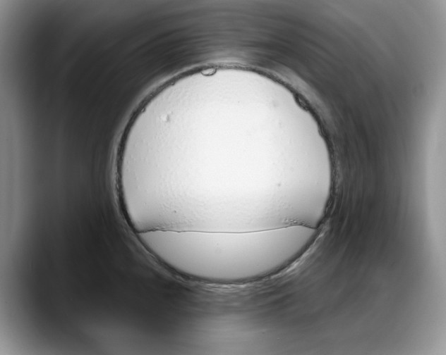 X0000088021240200706081435