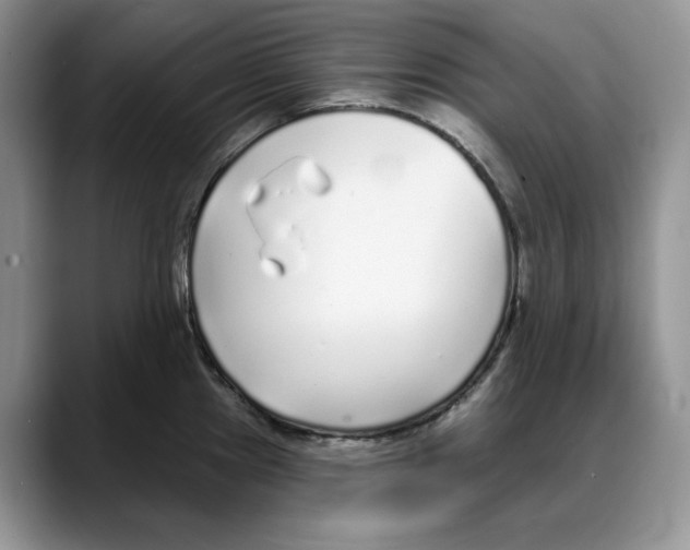 X0000088021241200706081435