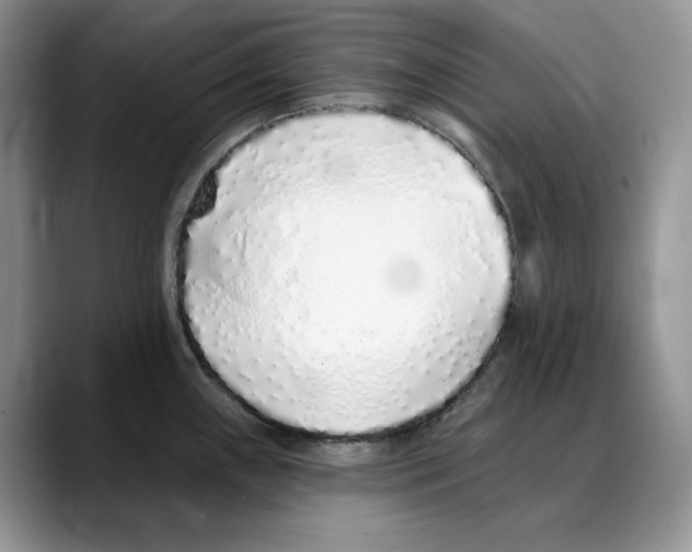 X0000088021243200706081435