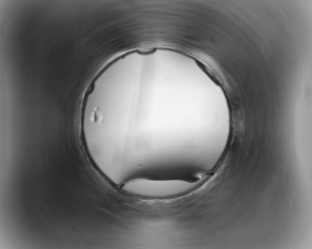 X0000088021244200706081435