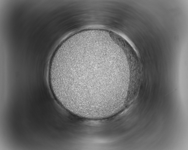 X0000088021245200706081435