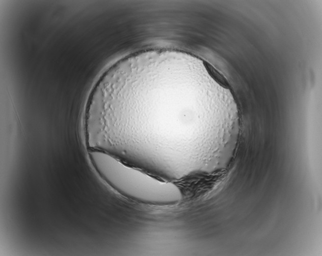 X0000088021247200706081435