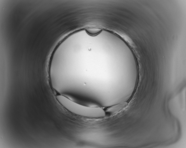 X0000088021248200706081435