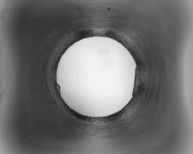 X0000088021249200706081434