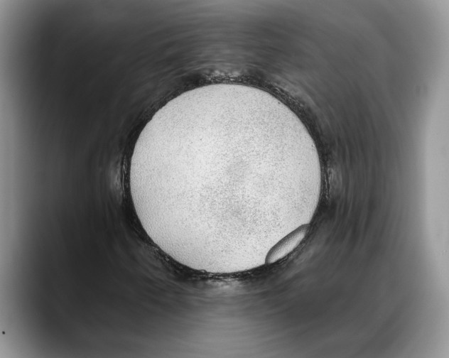 X0000088021250200706081434