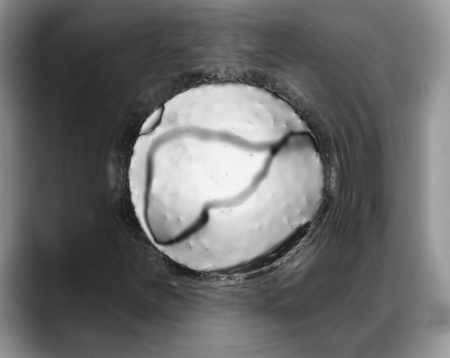 X0000088021251200706081434