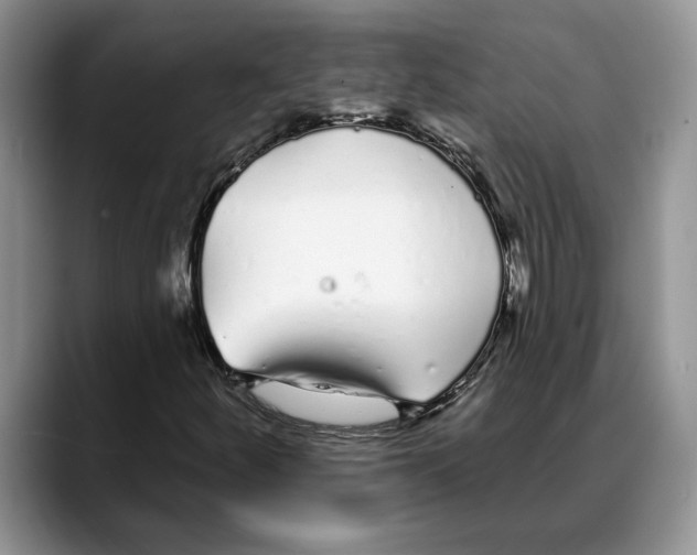 X0000088021252200706081434