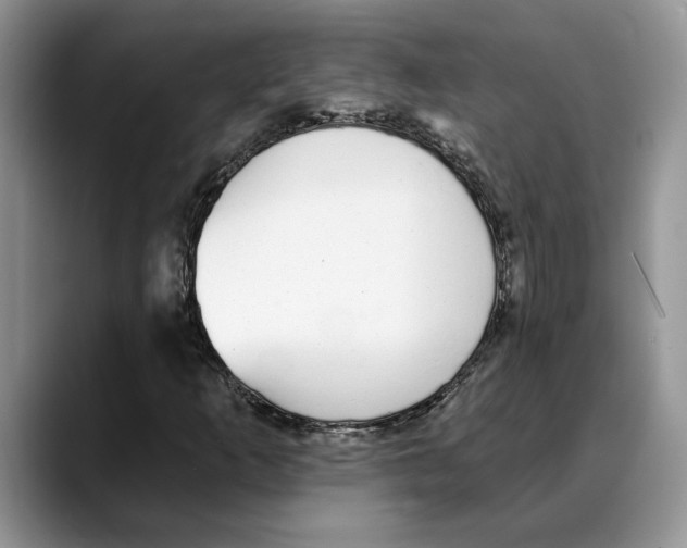 X0000088021253200706081434