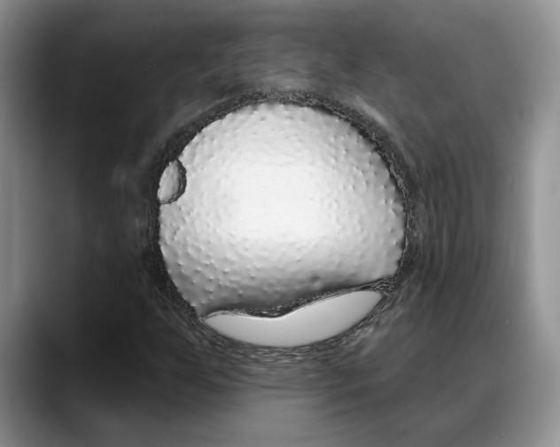 X0000088021255200706081434