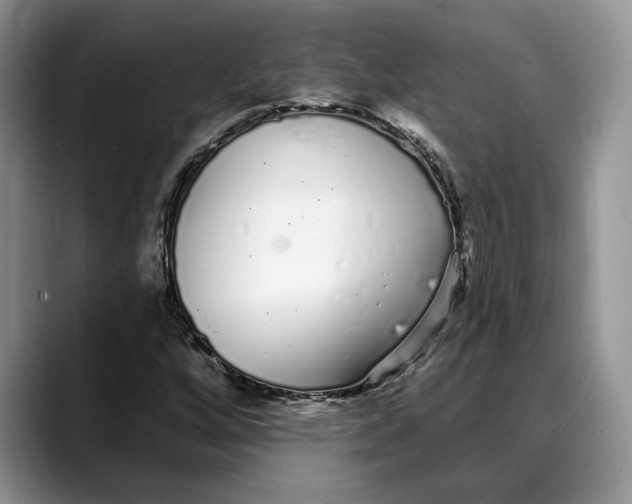 X0000088021256200706081434